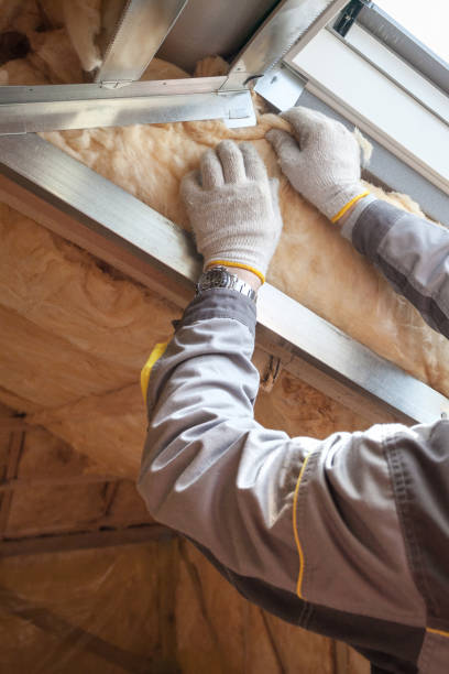 Best Eco-Friendly Insulation in Atascocita, TX